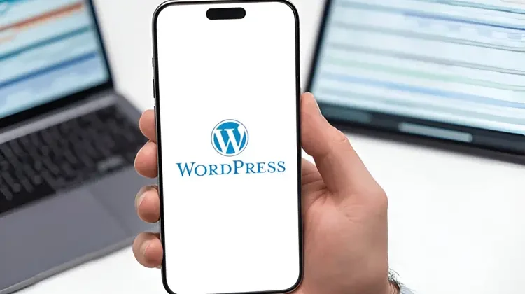 wordpress accesibility