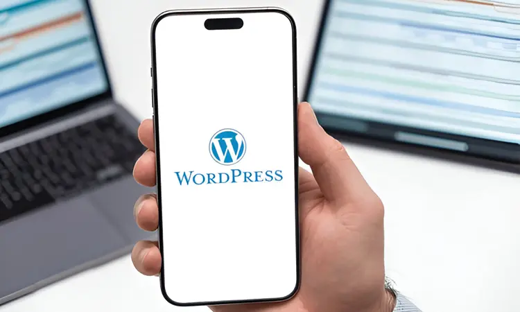 wordpress accesibility