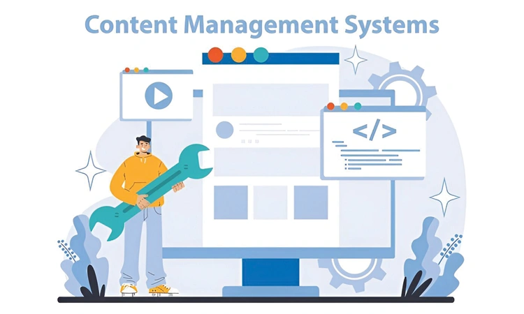 Customizing Themes and Plugins in CMS