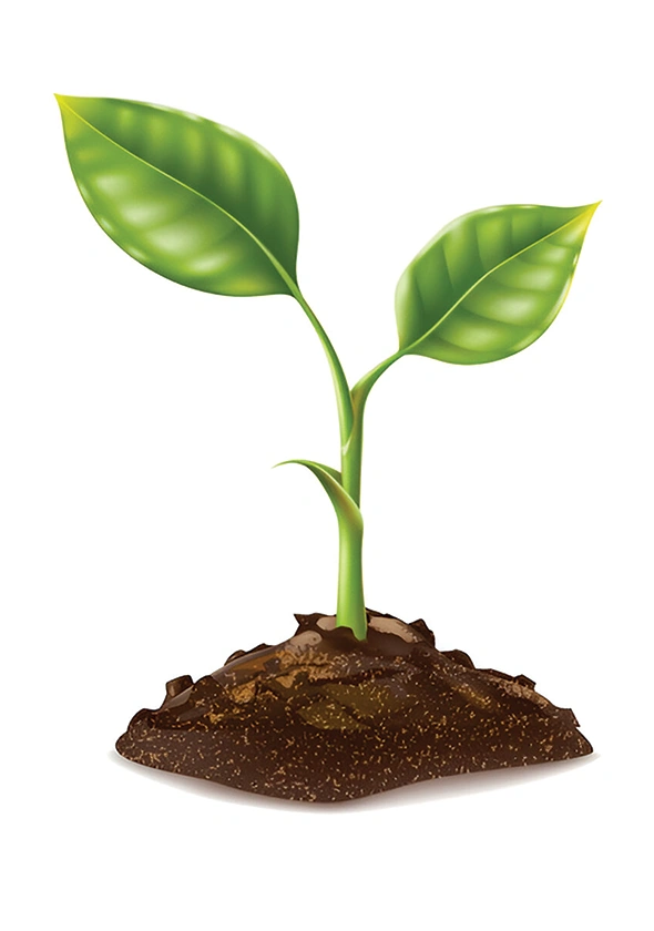3d visualization & rendering