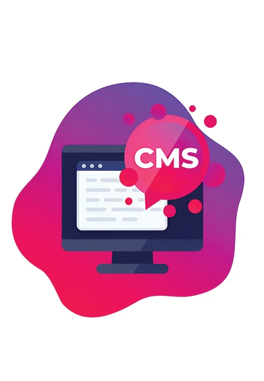 Content Management Systems Needs