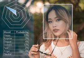 Convolutional Neural Networks