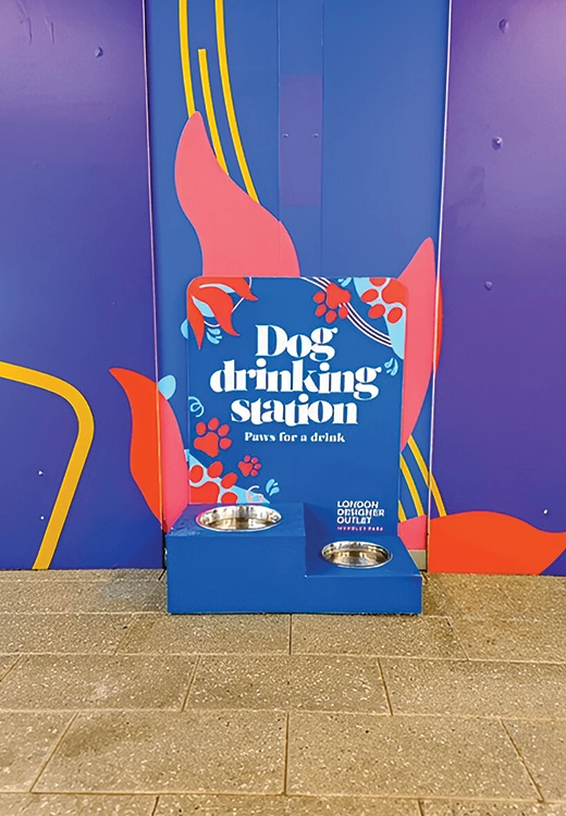 Graphic Design Needs